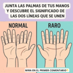 El Significado de las Líneas de Tus Manos: Quiromancia y Bienestar
