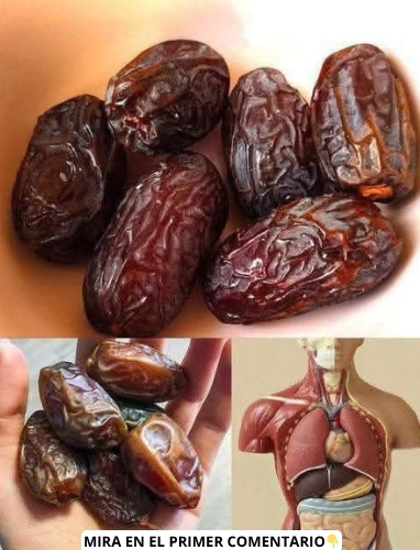 Dátiles y Sistema Digestivo