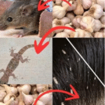 El Ajo: Tu Aliado Natural Contra Plagas y Problemas Comunes