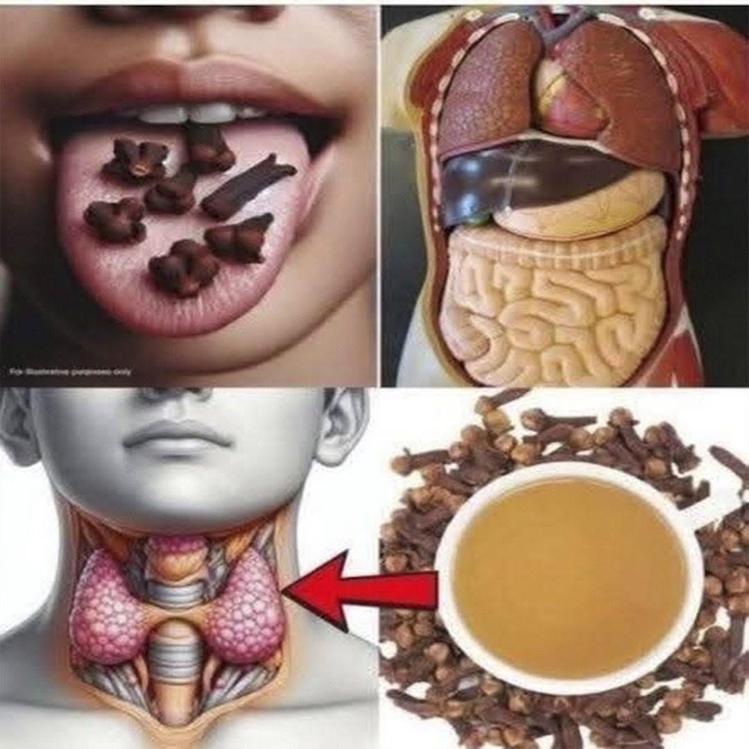 Clavos de Olor y Beneficios para la Salud