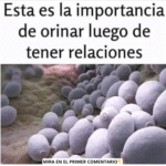 La Importancia de Orinar Después de Tener Relaciones: Cuida tu Salud