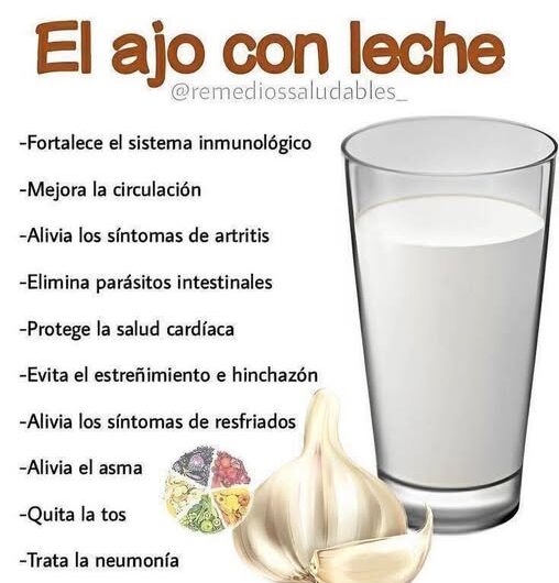 Beneficios del Ajo con Leche: Un Remedio Natural para tu Salud