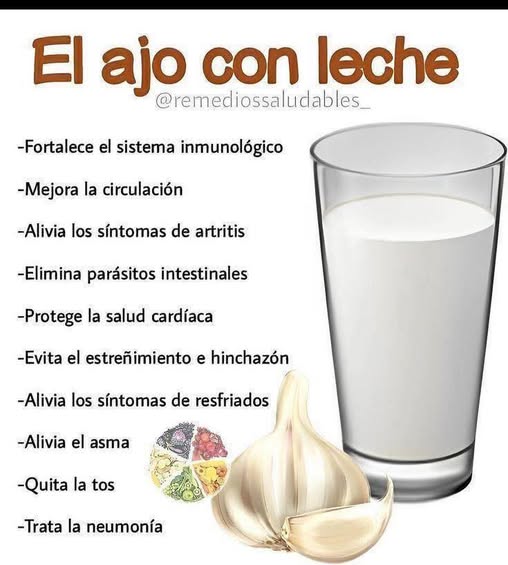 Beneficios del ajo con leche