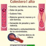 Todo lo que Debes Saber sobre los Síntomas del Colesterol Alto