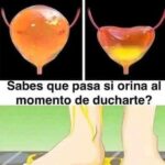 Orinar en la Ducha: Lo que Necesitas Saber