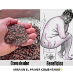 El Poder Sanador del Clavo de Olor: Beneficios y Remedios Naturales