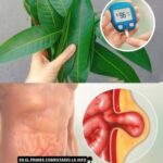 Adiós al Azúcar Alto: El Poder Curativo de la Hoja de Mango