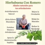 Beneficios de la Hierbabuena y el Romero para la Salud Articular