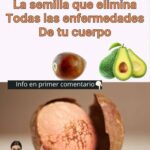 La Semilla de Aguacate: Un Secreto Milenario para Tu Salud