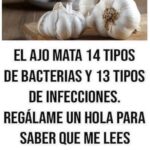 Beneficios del Ajo: Propiedades Medicinales y Culinarias