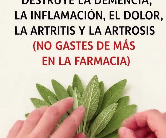 Salvia: El Remedio Natural contra Demencia, Inflamación, Dolor y Artritis