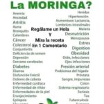 Descubre la Moringa: Receta Tradicional y sus Propiedades para Combatir Más de 40 Afecciones de Salud