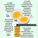Los Beneficios del Huevo Hervido: Nutrición y Salud