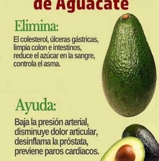 Los Sorprendentes Beneficios de la Semilla de Aguacate: Remedio Natural para la Salud