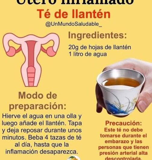 Té de Llantén: Remedio Natural para el Útero Inflamado