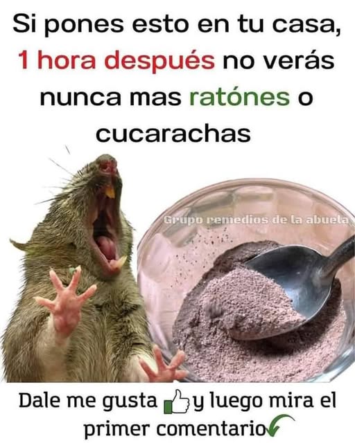 Remedio casero para eliminar plagas