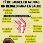 Beneficios del Té de Laurel en Ayunas: Un Aliado para la Salud