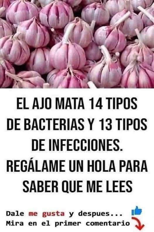 Bulbos de Ajo Morado