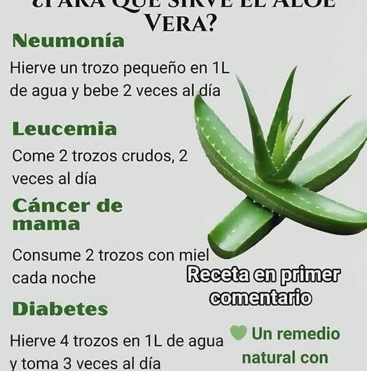 Aloe Vera: Un Remedio Natural con Múltiples Beneficios para la Salud