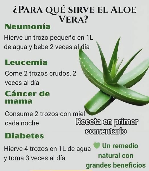 Usos del Aloe Vera