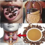 Los Incontables Beneficios del Clavo de Olor: Remedios Naturales y Salud