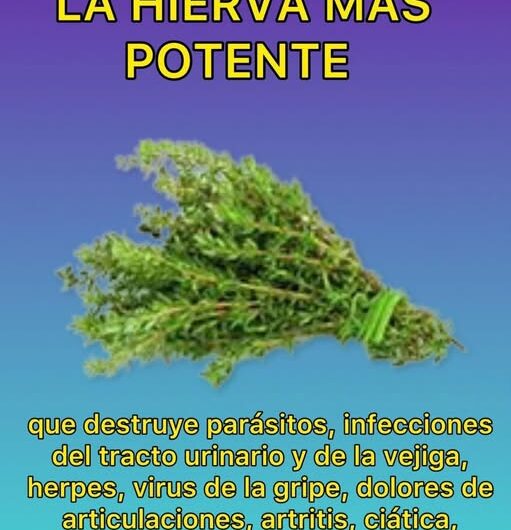 La Hierba Más Potente: Un Remedio Natural para Múltiples Afecciones