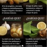 Cuatro Remedios Naturales para Cuidar tu Cuerpo y Mente