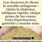La Semilla Milagrosa: Beneficios y Usos para la Salud