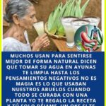 Beneficios y Receta del Jugo de Aloe Vera para la Salud Digestiva