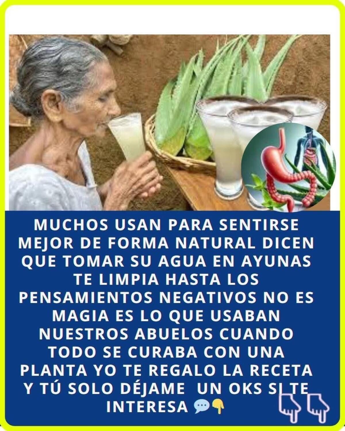 Persona mayor bebiendo jugo de aloe vera