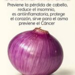 Descubre los Poderosos Beneficios de la Cebolla Morada para tu Salud