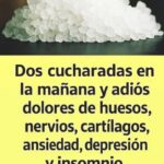 Descubre el Poder Sanador de Dos Cucharadas: Un Recorrido hacia el Bienestar Natural