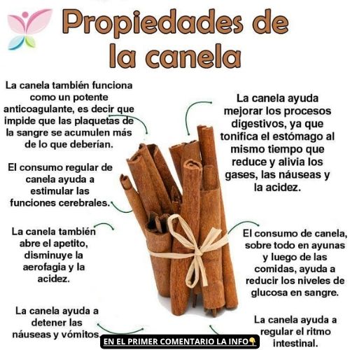 Propiedades de la canela