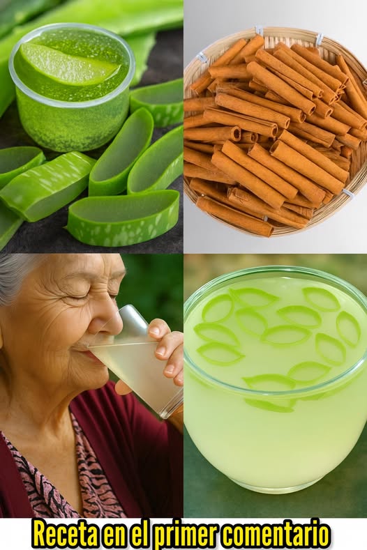 Ingredientes saludables de aloe vera y canela