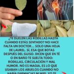 Alivia el Dolor de Rodillas con Hoja de Laurel: Un Remedio Natural Efectivo