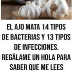 Los Asombrosos Beneficios del Ajo para la Salud