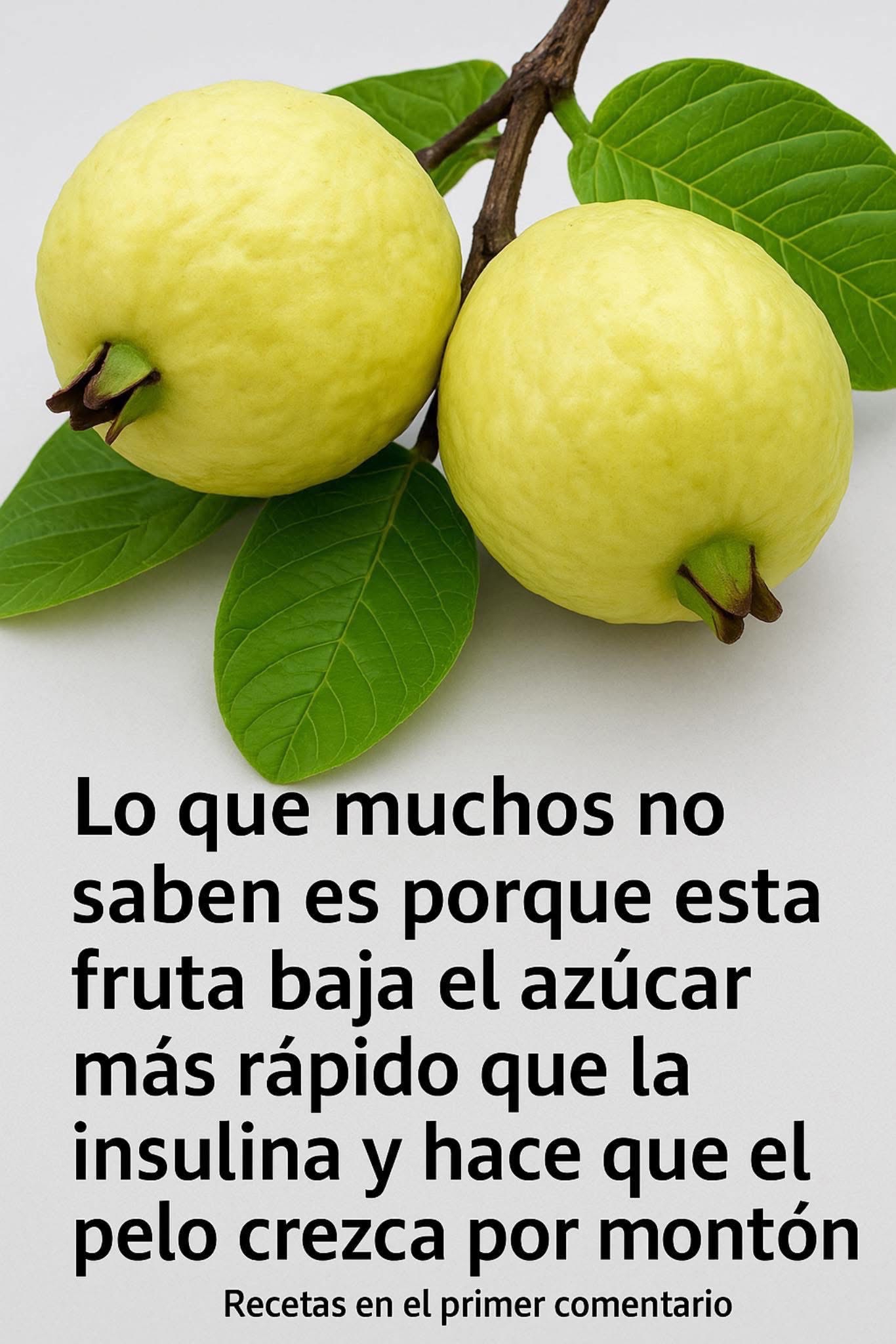 Guayabas frescas