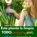 Descubre los Poderosos Beneficios del Apio: El Limpia Todo Natural