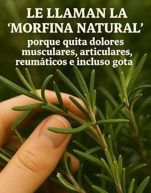 Romero - La morfina natural