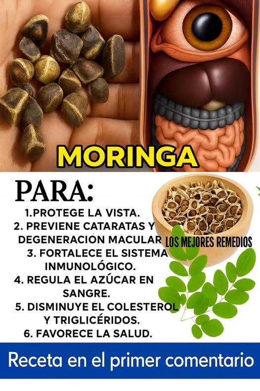 Beneficios de la Moringa para la Vista
