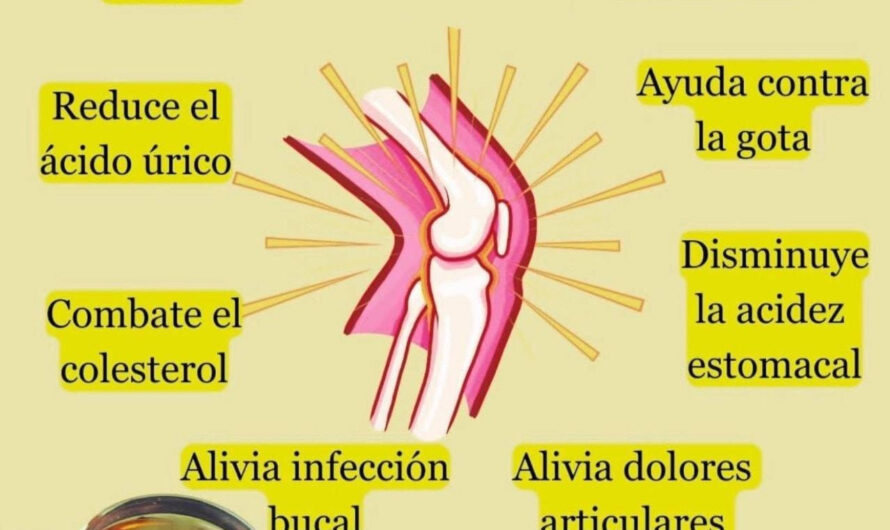 Beneficios del Té de Laurel en Ayunas para la Salud