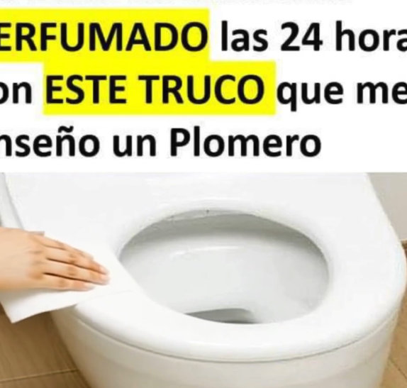 Ambiente fresco en el baño