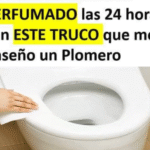 El Secreto para Mantener tu Baño Siempre Fresco y Perfumado