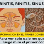 Eliminar Moco y Flema: Remedios Caseros para Aliviar la Rinitis