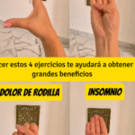 4 Ejercicios Esenciales para Mejorar tu Salud y Bienestar