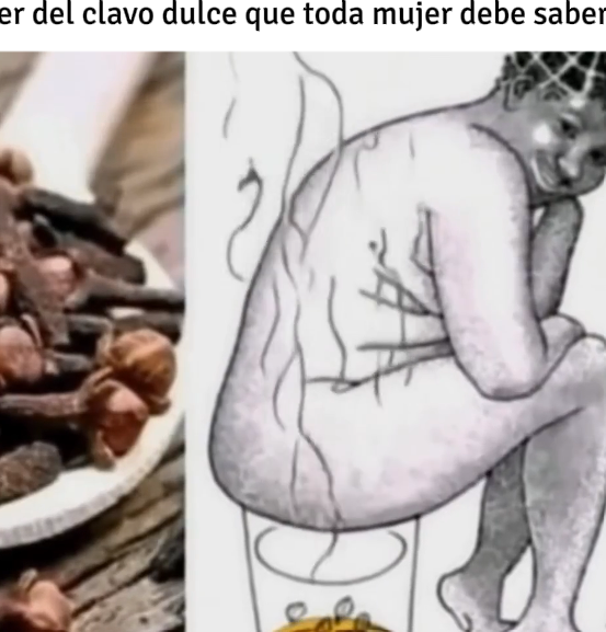 Beneficios del Clavo Dulce