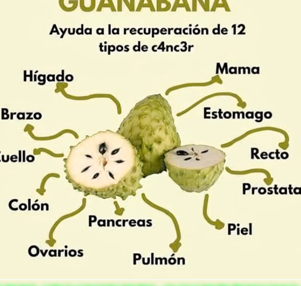 Guanábana