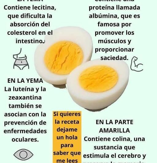 Los beneficios del huevo hervido (yema y clara) en tu dieta: más allá del desayuno