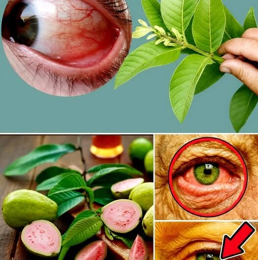 Descubre cómo la guayaba puede fortalecer tu visión: usos para problemas oculares