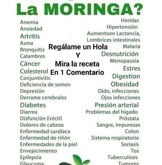 La moringa: el árbol de la vida y su receta tradicional para la salud